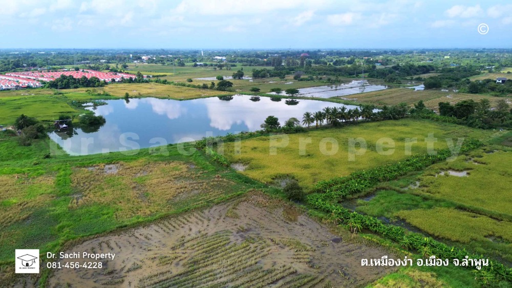 For SaleLandLamphun : Land for sale near Lamphun Hospital intersection, 15-1-31.4 rai, on main road, Highway 1136