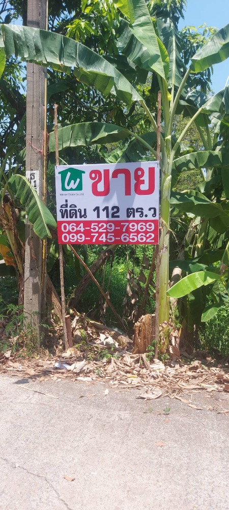 ขายที่ดินพุทธมณฑล ศาลายา : ขาย ที่ดินเปล่า 112 ตรว. พุทธมณฑลสาย 3 ซอย 18 แปลงมุม สวย (NLP-013)