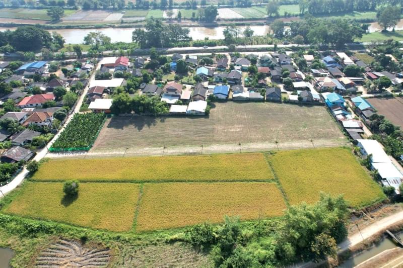 ขายที่ดินเชียงราย : แบ่งขายที่ดิน 162, 234, 230 ตารางวา ใกล้ตัวเมืองเชียงราย เส้นเลียบแม่น้ำกก ถนนทางหลวงชนบท ตำบลริมกก อำเภอเมืองเชียงราย จังหวัดเชียงราย