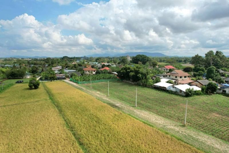 ขายที่ดินเชียงราย : แบ่งขายที่ดิน 162, 234, 230 ตารางวา ใกล้ตัวเมืองเชียงราย เส้นเลียบแม่น้ำกก ถนนทางหลวงชนบท ตำบลริมกก อำเภอเมืองเชียงราย จังหวัดเชียงราย