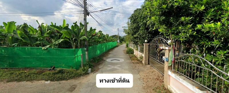 ขายที่ดินเชียงราย : แบ่งขายที่ดิน 162, 234, 230 ตารางวา ใกล้ตัวเมืองเชียงราย เส้นเลียบแม่น้ำกก ถนนทางหลวงชนบท ตำบลริมกก อำเภอเมืองเชียงราย จังหวัดเชียงราย