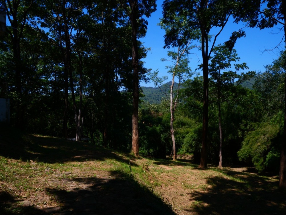 ขายที่ดินสระบุรี : ที่ดินเนินเขา อ.มวกเหล็ก จ.สระบุรี, สระบุรี