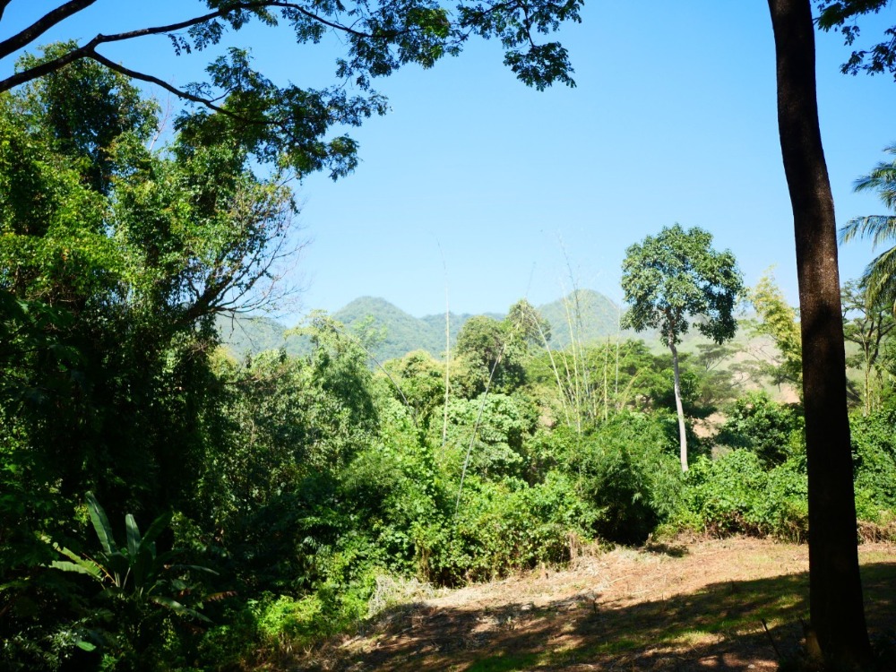 ขายที่ดินสระบุรี : ที่ดินเนินเขา อ.มวกเหล็ก จ.สระบุรี, สระบุรี