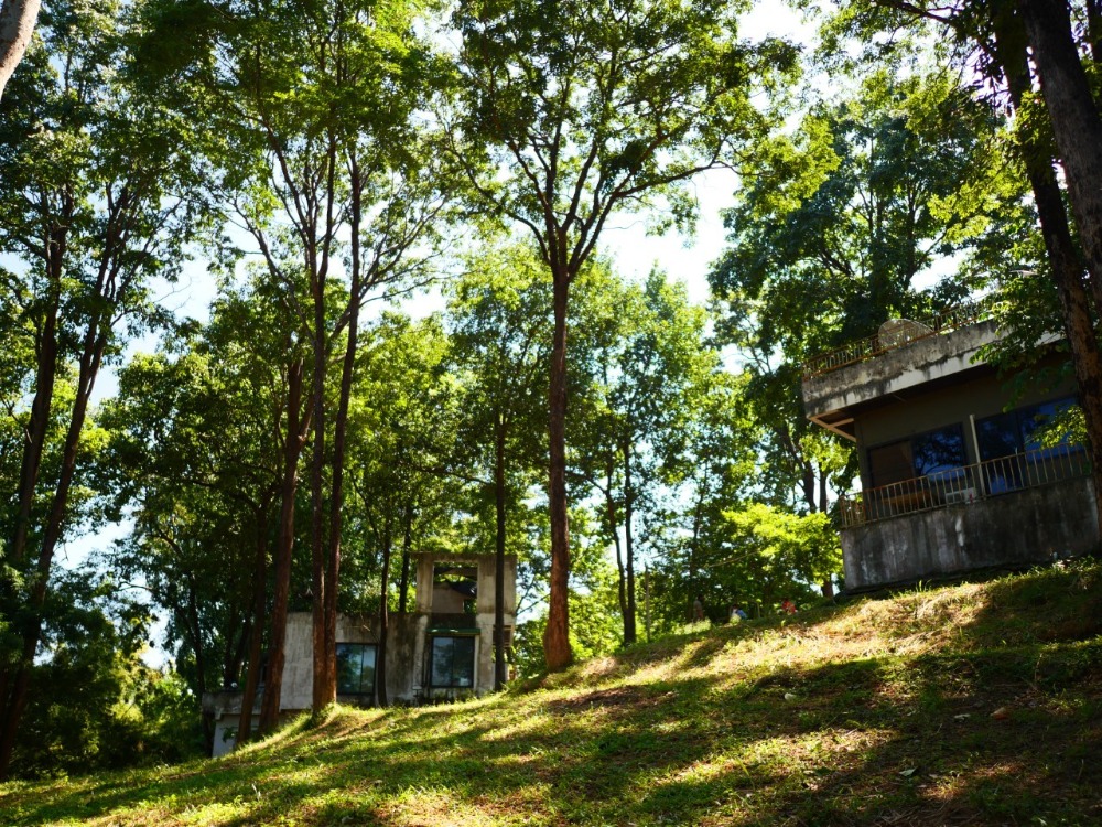 ขายที่ดินสระบุรี : ที่ดินเนินเขา อ.มวกเหล็ก จ.สระบุรี, สระบุรี