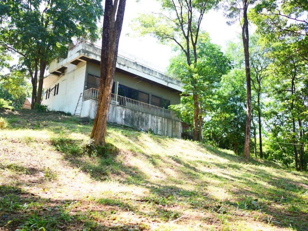 ขายที่ดินสระบุรี : ที่ดินเนินเขา อ.มวกเหล็ก จ.สระบุรี, สระบุรี