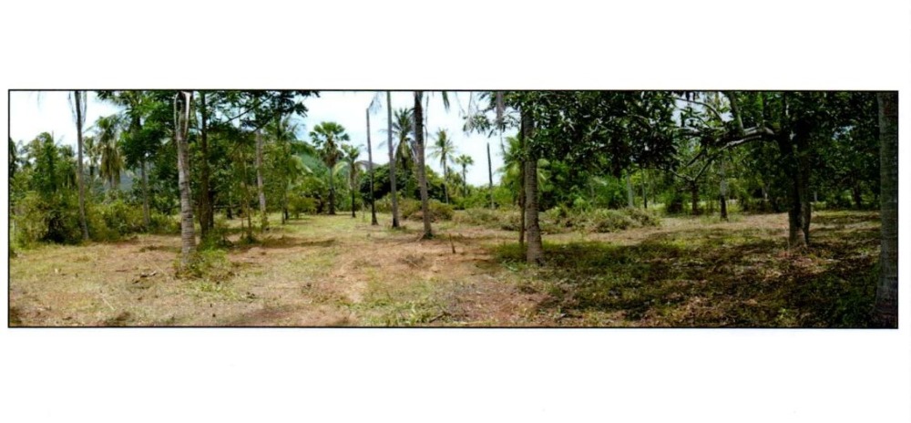 ขายที่ดินหัวหิน ประจวบคีรีขันธ์ : ที่ดินเปล่า เนื้อที่ 3 ไร่ แยกจากซอยสามร้อยยอด 13  อ.สามร้อยยอด จ.ประจวบคีรีขันธ์  ห่างทะเล 800 เมตร