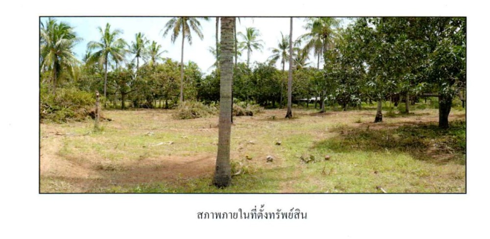 ขายที่ดินหัวหิน ประจวบคีรีขันธ์ : ที่ดินเปล่า เนื้อที่ 3 ไร่ แยกจากซอยสามร้อยยอด 13  อ.สามร้อยยอด จ.ประจวบคีรีขันธ์  ห่างทะเล 800 เมตร