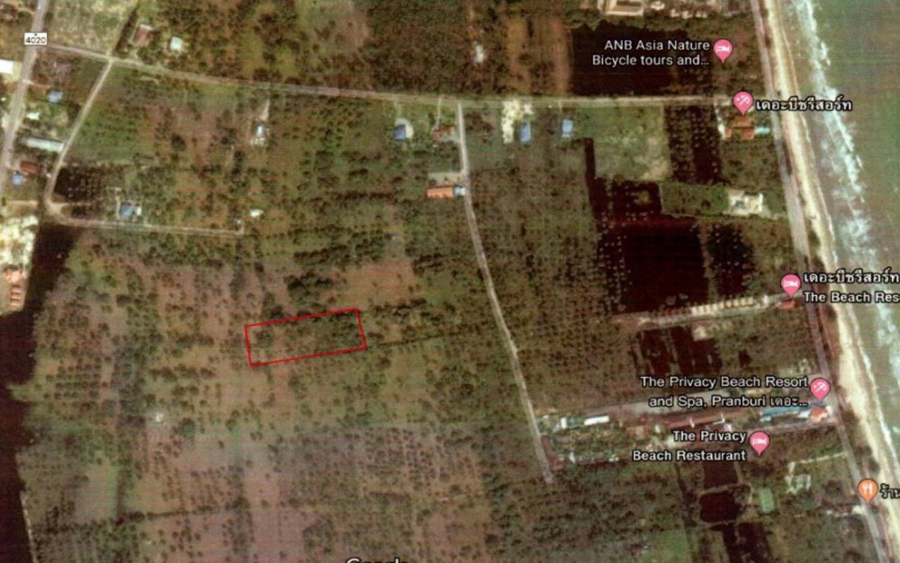 ขายที่ดินหัวหิน ประจวบคีรีขันธ์ : ที่ดินเปล่า เนื้อที่ 3 ไร่ แยกจากซอยสามร้อยยอด 13  อ.สามร้อยยอด จ.ประจวบคีรีขันธ์  ห่างทะเล 800 เมตร