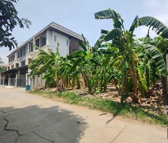 For SaleLandSapankwai,Jatujak : Land for sale, Lat Phrao Soi 1, near Criminal Court, Ratchada Road.
