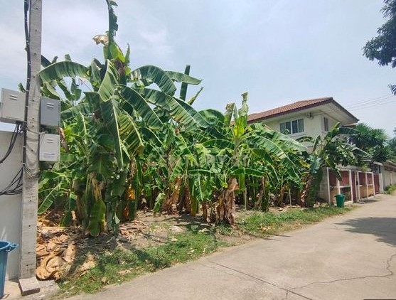 ขายที่ดินสะพานควาย จตุจักร : ขายที่ดิน ลาดพร้าว ซอย1 ใกล้ ศาลอาญา ถนน รัชดา