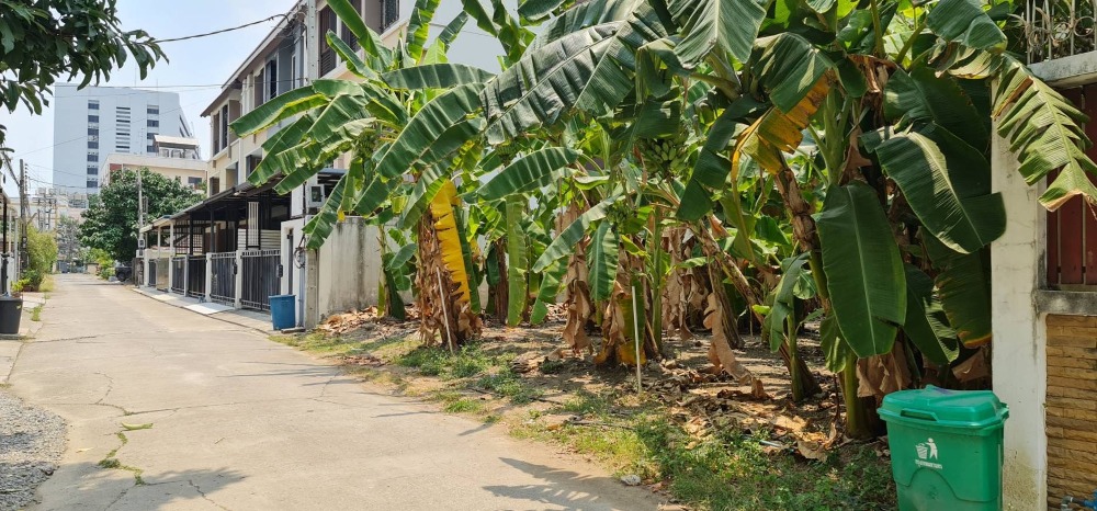 ขายที่ดินสะพานควาย จตุจักร : ขายที่ดิน ลาดพร้าว ซอย1 ใกล้ ศาลอาญา ถนน รัชดา