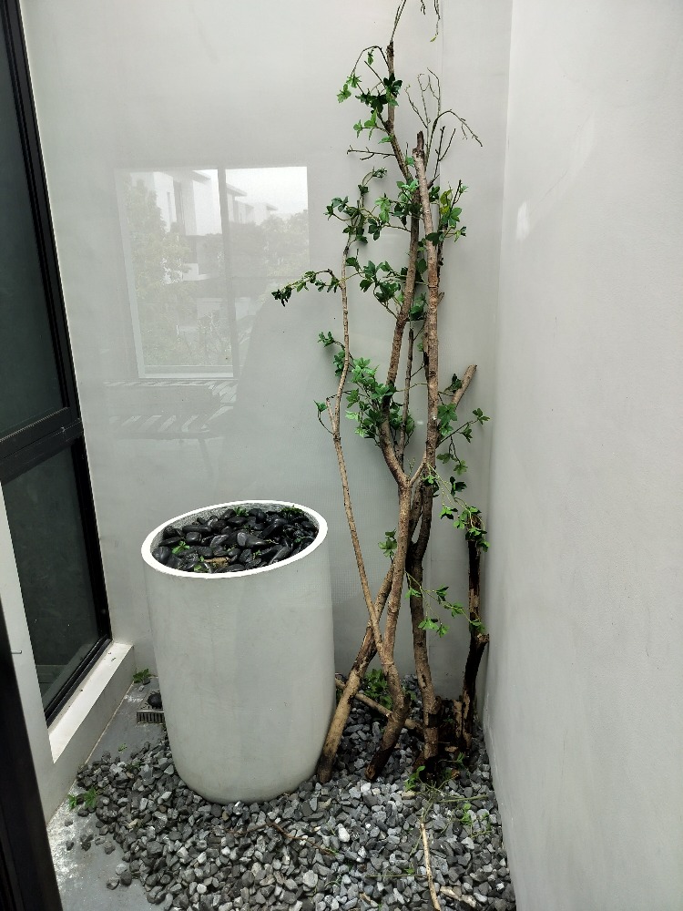 For RentHousePattanakan, Srinakarin : Nantawan rama9-Srinakarin for rent