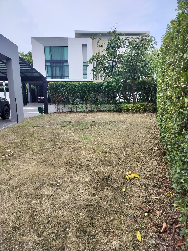 For RentHousePattanakan, Srinakarin : Nantawan rama9-Srinakarin for rent