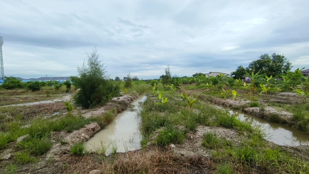 For SaleLandLadkrabang, Suwannaphum Airport : Land in the urban community area, Suvarnabhumi zone Beautiful plot of land
