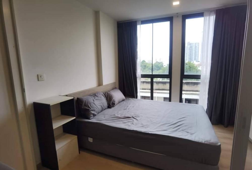 ให้เช่าคอนโดอ่อนนุช อุดมสุข : ให้เช่า คอนโด แชมป์เบอร์ อ่อนนุช สุขุมวิท 81