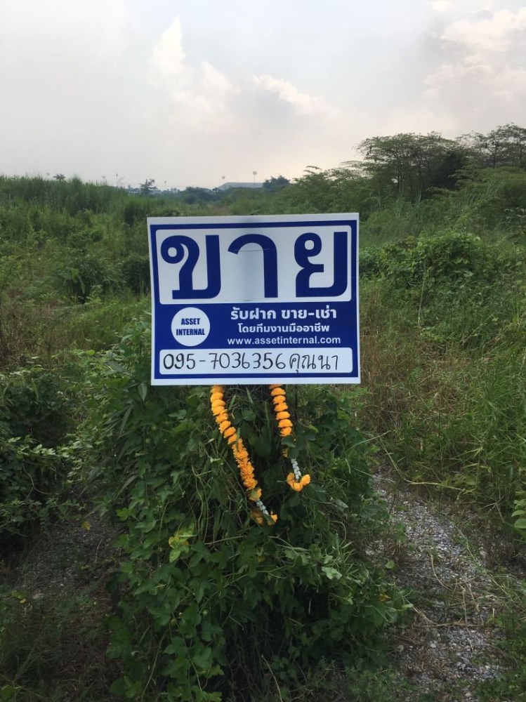 ขายที่ดินนครปฐม : ขายที่ดิน 25 ไร่ 1 งาน 41 ตารางวา  ตำบลงิ้วราย อำเภอนครชัยศรี จ.นครปฐม ติดถนนเมน นครชัยศรี ศาลายา ( ถนนทางหลวงชนบท 4006 ) เดินทางสะดวกสบาย น้ำไม่ท่วม ทำเลเหมาะทำหมู่บ้านจัดสรร