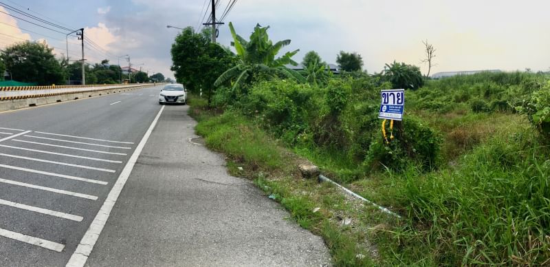 ขายที่ดินนครปฐม : ขายที่ดิน 25 ไร่ 1 งาน 41 ตารางวา  ตำบลงิ้วราย อำเภอนครชัยศรี จ.นครปฐม ติดถนนเมน นครชัยศรี ศาลายา ( ถนนทางหลวงชนบท 4006 ) เดินทางสะดวกสบาย น้ำไม่ท่วม ทำเลเหมาะทำหมู่บ้านจัดสรร