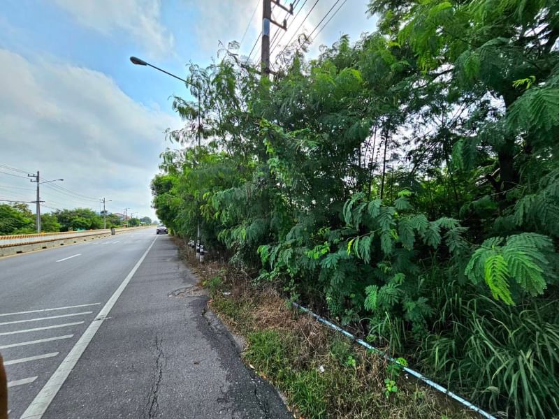 ขายที่ดินนครปฐม : ขายที่ดิน 25 ไร่ 1 งาน 41 ตารางวา  ตำบลงิ้วราย อำเภอนครชัยศรี จ.นครปฐม ติดถนนเมน นครชัยศรี ศาลายา ( ถนนทางหลวงชนบท 4006 ) เดินทางสะดวกสบาย น้ำไม่ท่วม ทำเลเหมาะทำหมู่บ้านจัดสรร