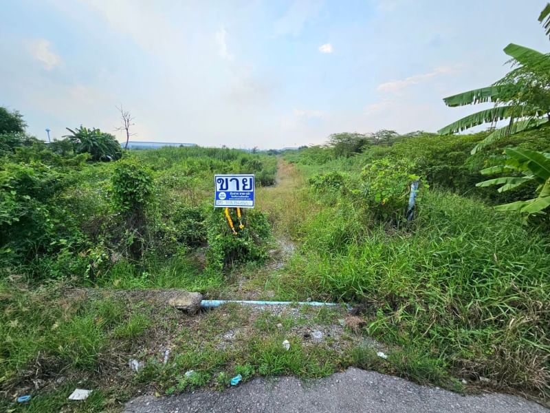 ขายที่ดินนครปฐม : ขายที่ดิน 25 ไร่ 1 งาน 41 ตารางวา  ตำบลงิ้วราย อำเภอนครชัยศรี จ.นครปฐม ติดถนนเมน นครชัยศรี ศาลายา ( ถนนทางหลวงชนบท 4006 ) เดินทางสะดวกสบาย น้ำไม่ท่วม ทำเลเหมาะทำหมู่บ้านจัดสรร