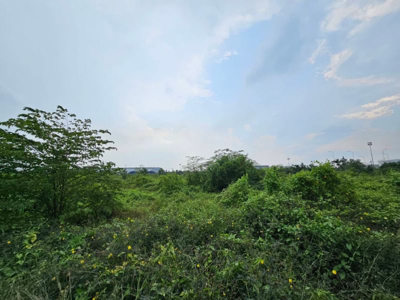 For SaleLandNakhon Pathom : Land for sale, 43 rai 2 ngan 89.8 square wah, Ngio Rai Subdistrict, Nakhon Chai Si District, Nakhon Pathom Province, next to the main road, Nakhon Chai Si, Salaya (Rural Highway 4006), convenient travel, no flooding, suitable location for a housing develo