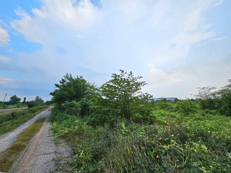 ขายที่ดินนครปฐม : ขายที่ดิน 43 ไร่ 2 งาน 89.8 ตารางวา ตำบลงิ้วราย อำเภอนครชัยศรี จ.นครปฐม ติดถนนเมน นครชัยศรี ศาลายา ( ถนนทางหลวงชนบท 4006 ) เดินทางสะดวกสบาย น้ำไม่ท่วม ทำเลเหมาะทำหมู่บ้านจัดสรร