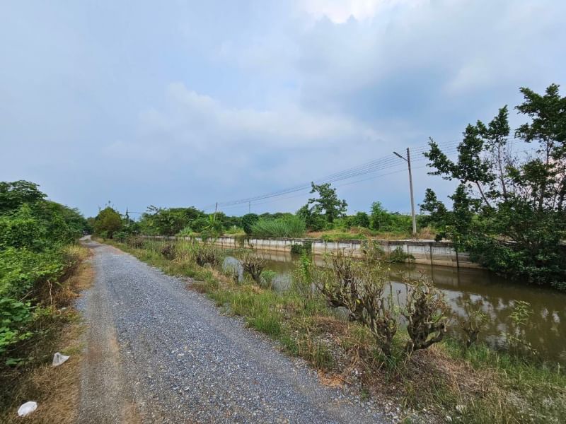 ขายที่ดินนครปฐม : ขายที่ดิน 43 ไร่ 2 งาน 89.8 ตารางวา ตำบลงิ้วราย อำเภอนครชัยศรี จ.นครปฐม ติดถนนเมน นครชัยศรี ศาลายา ( ถนนทางหลวงชนบท 4006 ) เดินทางสะดวกสบาย น้ำไม่ท่วม ทำเลเหมาะทำหมู่บ้านจัดสรร