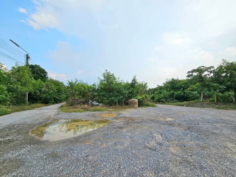 ขายที่ดินนครปฐม : ขายที่ดิน 43 ไร่ 2 งาน 89.8 ตารางวา ตำบลงิ้วราย อำเภอนครชัยศรี จ.นครปฐม ติดถนนเมน นครชัยศรี ศาลายา ( ถนนทางหลวงชนบท 4006 ) เดินทางสะดวกสบาย น้ำไม่ท่วม ทำเลเหมาะทำหมู่บ้านจัดสรร