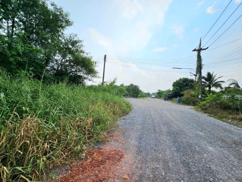 ขายที่ดินนครปฐม : ขายที่ดิน 43 ไร่ 2 งาน 89.8 ตารางวา ตำบลงิ้วราย อำเภอนครชัยศรี จ.นครปฐม ติดถนนเมน นครชัยศรี ศาลายา ( ถนนทางหลวงชนบท 4006 ) เดินทางสะดวกสบาย น้ำไม่ท่วม ทำเลเหมาะทำหมู่บ้านจัดสรร