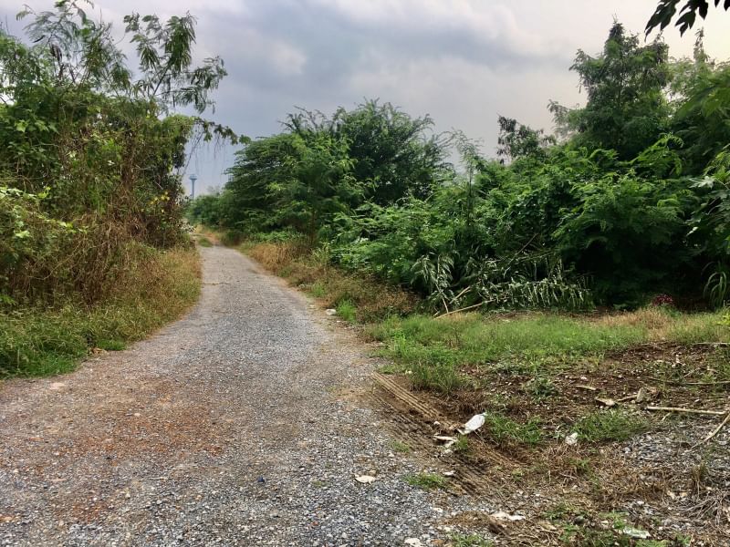 ขายที่ดินนครปฐม : ขายที่ดิน 43 ไร่ 2 งาน 89.8 ตารางวา ตำบลงิ้วราย อำเภอนครชัยศรี จ.นครปฐม ติดถนนเมน นครชัยศรี ศาลายา ( ถนนทางหลวงชนบท 4006 ) เดินทางสะดวกสบาย น้ำไม่ท่วม ทำเลเหมาะทำหมู่บ้านจัดสรร