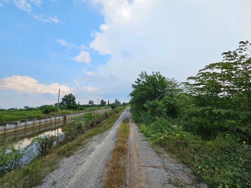 ขายที่ดินนครปฐม : ขายที่ดิน 43 ไร่ 2 งาน 89.8 ตารางวา ตำบลงิ้วราย อำเภอนครชัยศรี จ.นครปฐม ติดถนนเมน นครชัยศรี ศาลายา ( ถนนทางหลวงชนบท 4006 ) เดินทางสะดวกสบาย น้ำไม่ท่วม ทำเลเหมาะทำหมู่บ้านจัดสรร