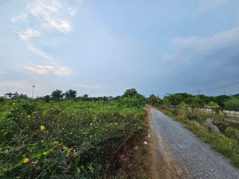 ขายที่ดินนครปฐม : ขายที่ดิน 43 ไร่ 2 งาน 89.8 ตารางวา ตำบลงิ้วราย อำเภอนครชัยศรี จ.นครปฐม ติดถนนเมน นครชัยศรี ศาลายา ( ถนนทางหลวงชนบท 4006 ) เดินทางสะดวกสบาย น้ำไม่ท่วม ทำเลเหมาะทำหมู่บ้านจัดสรร