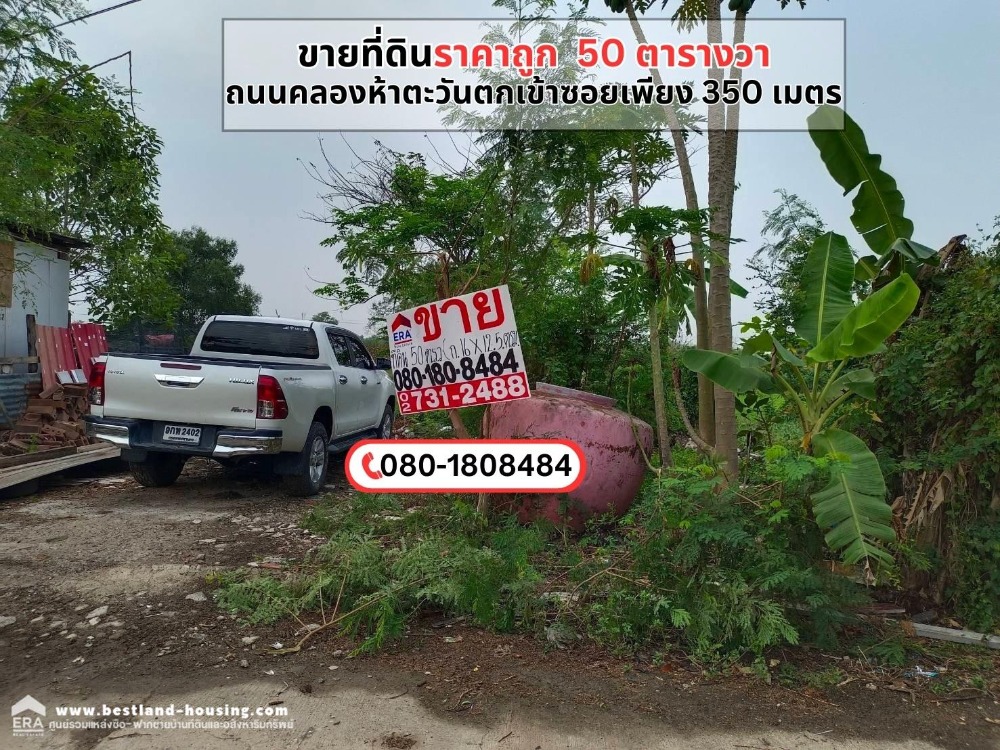 For SaleLandPathum Thani,Rangsit, Thammasat : Cheap land for sale, 50 square meters, Khlong Luang, near Wat Phra Dhammakaya.