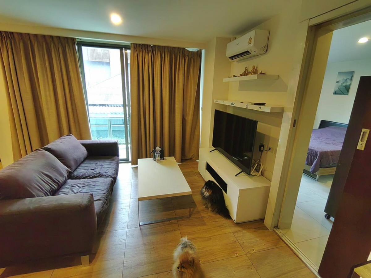 For RentCondoOnnut, Udomsuk : 🐱🐶 Urgent rent Animal raising condo near BTS Ekkamai Condo Click Condo Sukhumvit 65 🐶🐱