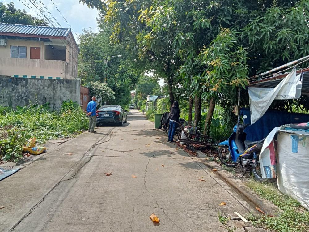 For SaleLandBang kae, Phetkasem : Land for sale in Nakhon Lung 2, Intersection 5, Bangkok.