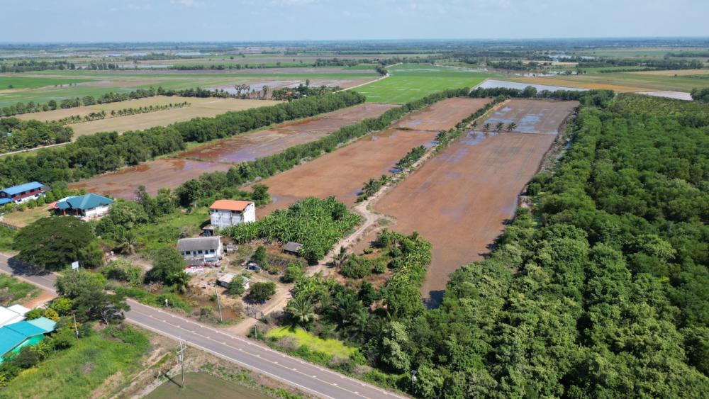 For SaleLandChachoengsao : Land for sale in Bang Khla beautiful square Adjacent to rural highway 4023, width up to 155 meters.