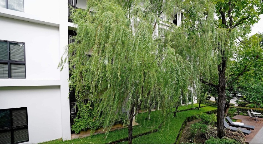 ขายกิจการโรงแรม & กิจการอพาร์ตเมนต์เชียงใหม่ : ขายด่วน The 9 Thasala กับ Rim Tara boutique resort อ. เมือง เชียงใหม่