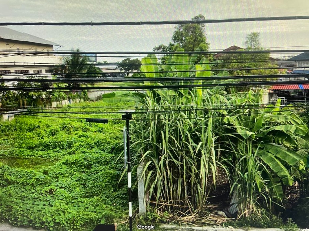 ขายที่ดินนนทบุรี บางใหญ่ บางบัวทอง : ขายที่ดินเปล่า  2 งาน 23 ตารางวา  ถ.บางกรวย-ไทรน้อย  ต.บางบัวทอง  อ.บางบัวทอง  นนทบุรี