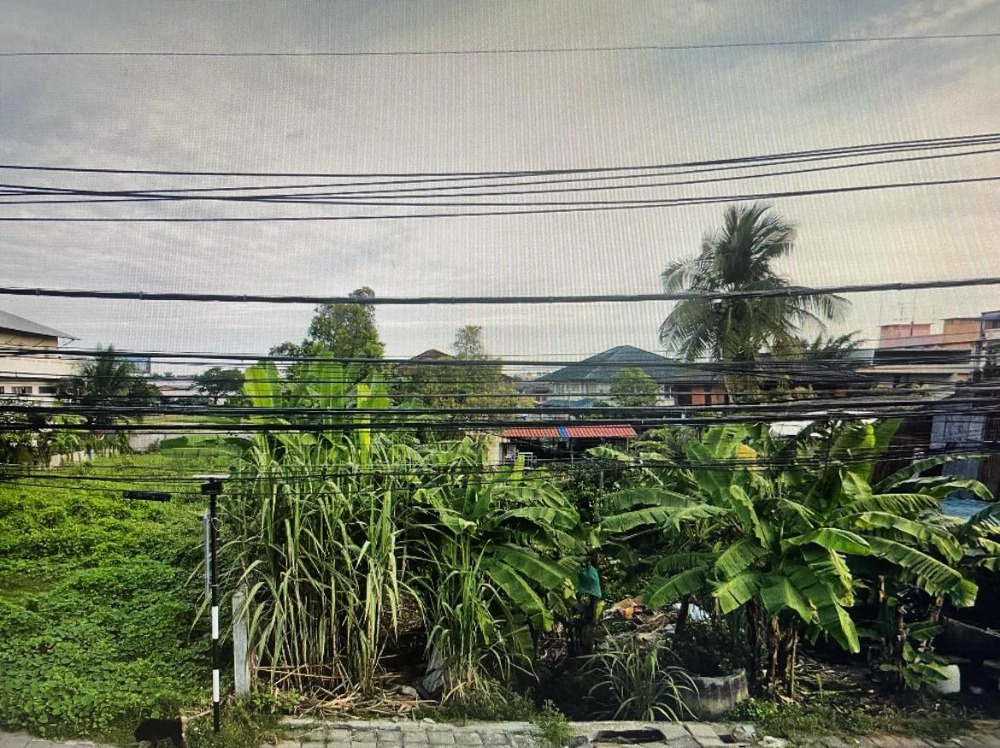 ขายที่ดินนนทบุรี บางใหญ่ บางบัวทอง : ขายที่ดินเปล่า  2 งาน 23 ตารางวา  ถ.บางกรวย-ไทรน้อย  ต.บางบัวทอง  อ.บางบัวทอง  นนทบุรี