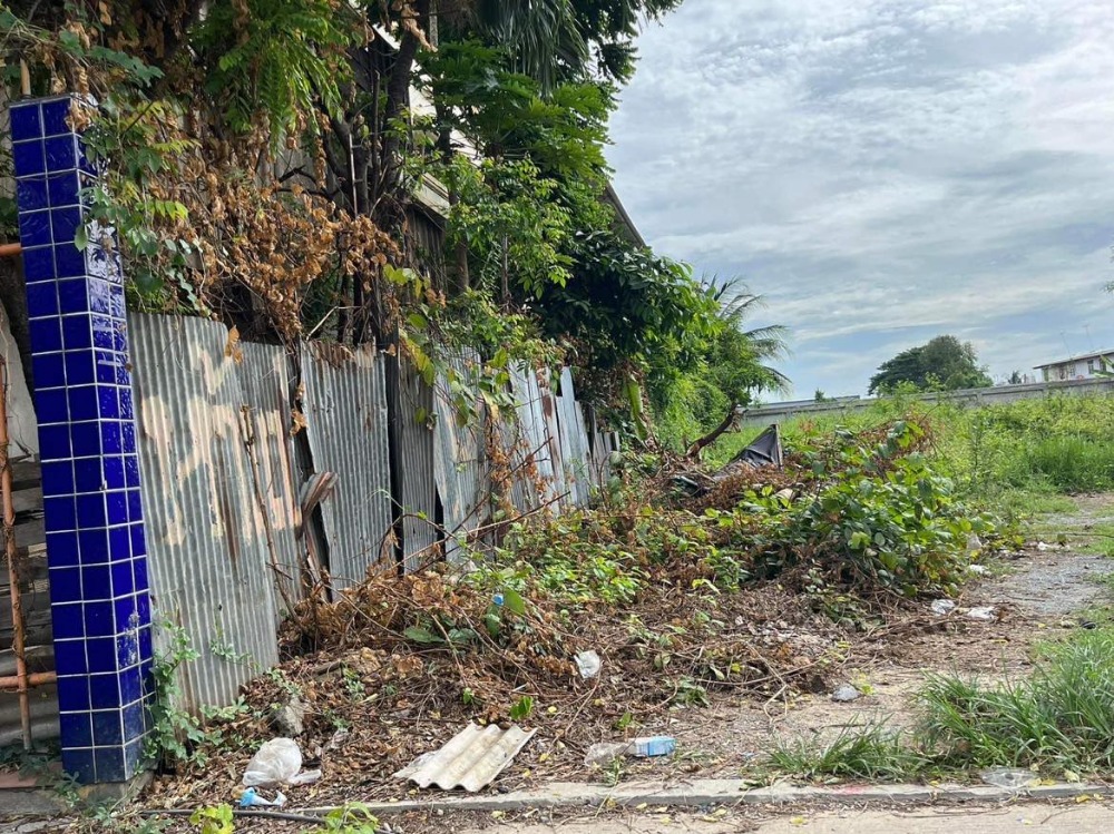 ขายที่ดินนนทบุรี บางใหญ่ บางบัวทอง : ขายที่ดินเปล่า  2 งาน 23 ตารางวา  ถ.บางกรวย-ไทรน้อย  ต.บางบัวทอง  อ.บางบัวทอง  นนทบุรี