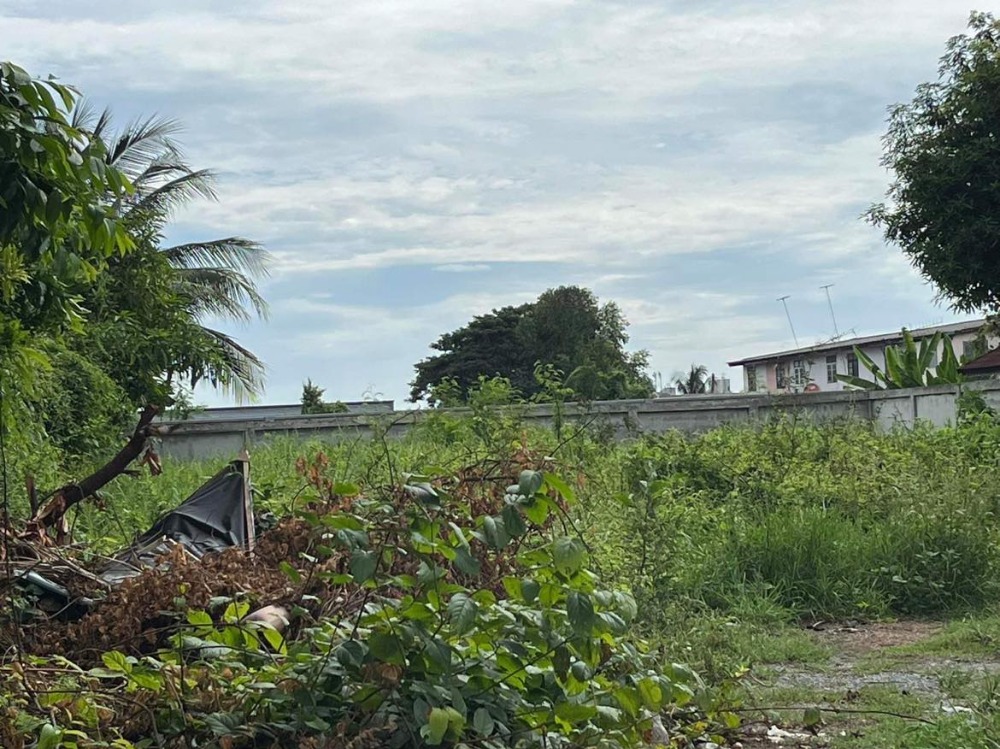 ขายที่ดินนนทบุรี บางใหญ่ บางบัวทอง : ขายที่ดินเปล่า  2 งาน 23 ตารางวา  ถ.บางกรวย-ไทรน้อย  ต.บางบัวทอง  อ.บางบัวทอง  นนทบุรี