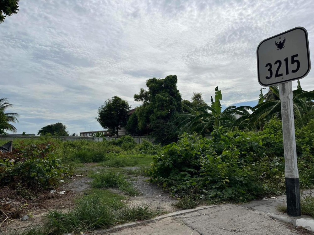 ขายที่ดินนนทบุรี บางใหญ่ บางบัวทอง : ขายที่ดินเปล่า  2 งาน 23 ตารางวา  ถ.บางกรวย-ไทรน้อย  ต.บางบัวทอง  อ.บางบัวทอง  นนทบุรี