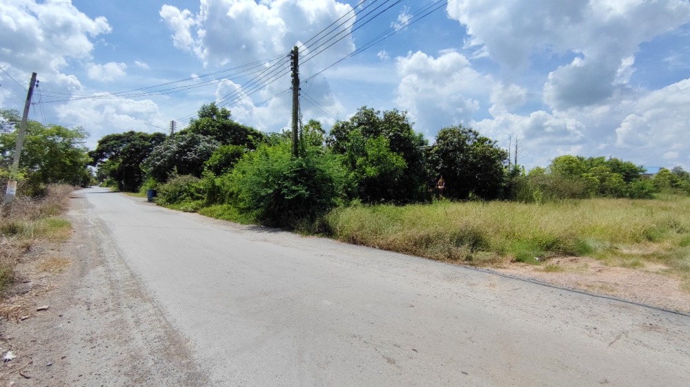 ขายที่ดินปทุมธานี รังสิต ธรรมศาสตร์ : ขาย ที่ดิน 20 ไร่ คลอง 5 ฝั่งตะวันตก ปทุมธานี ติดถนน 2 ด้าน เข้าจาก เส้นปทุมธานี-อยุธยา เพียง 3 กม.