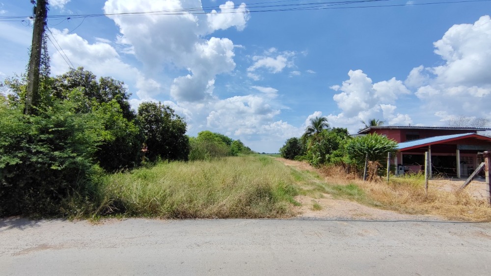 For SaleLandPathum Thani,Rangsit, Thammasat : Land for sale, 20 rai, Khlong 5, west side, Pathum Thani, next to the road on 2 sides, entering from the Pathum Thani-Ayutthaya route, only 3 km.