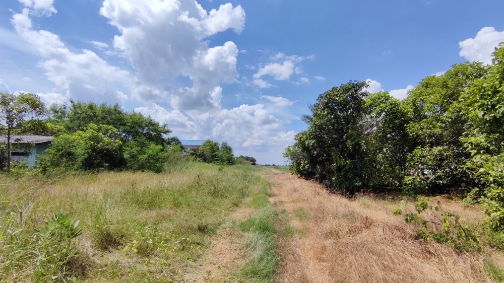 ขายที่ดินปทุมธานี รังสิต ธรรมศาสตร์ : ขาย ที่ดิน 20 ไร่ คลอง 5 ฝั่งตะวันตก ปทุมธานี ติดถนน 2 ด้าน เข้าจาก เส้นปทุมธานี-อยุธยา เพียง 3 กม.