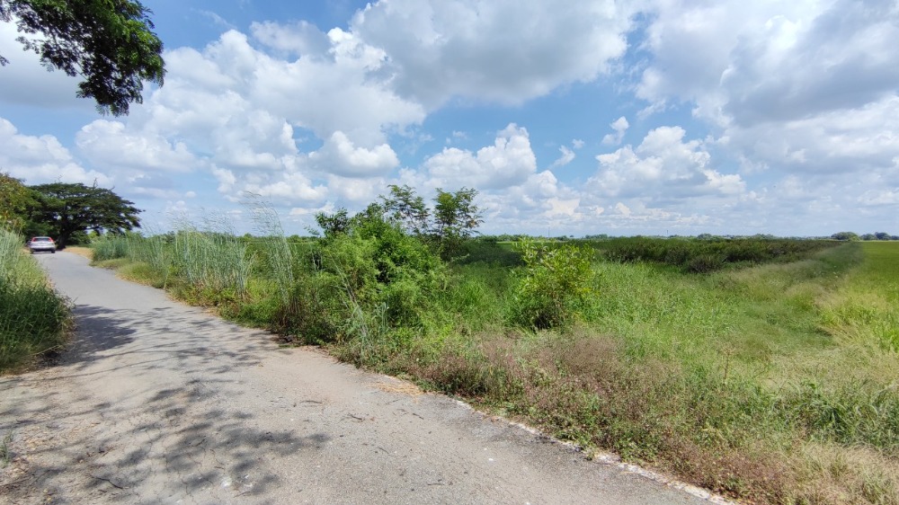 ขายที่ดินปทุมธานี รังสิต ธรรมศาสตร์ : ขาย ที่ดิน 20 ไร่ คลอง 5 ฝั่งตะวันตก ปทุมธานี ติดถนน 2 ด้าน เข้าจาก เส้นปทุมธานี-อยุธยา เพียง 3 กม.