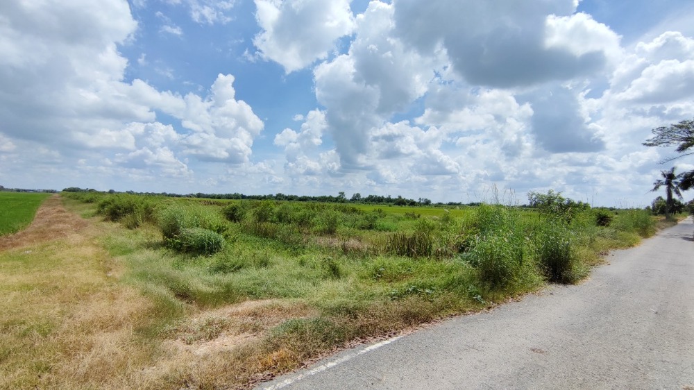 ขายที่ดินปทุมธานี รังสิต ธรรมศาสตร์ : ขาย ที่ดิน 20 ไร่ คลอง 5 ฝั่งตะวันตก ปทุมธานี ติดถนน 2 ด้าน เข้าจาก เส้นปทุมธานี-อยุธยา เพียง 3 กม.
