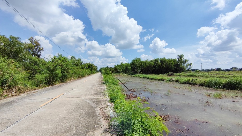 ขายที่ดินปทุมธานี รังสิต ธรรมศาสตร์ : ขาย ที่ดิน 2 ไร่ คลอง 5 ฝั่งตะวันตก คลองหลวง ปทุมธานี ใกล้เส้นทางหลวงปทุมธานี-อยุธยา