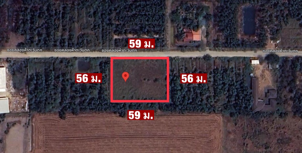 ขายที่ดินปทุมธานี รังสิต ธรรมศาสตร์ : ขาย ที่ดิน 2 ไร่ คลอง 5 ฝั่งตะวันตก คลองหลวง ปทุมธานี ใกล้เส้นทางหลวงปทุมธานี-อยุธยา