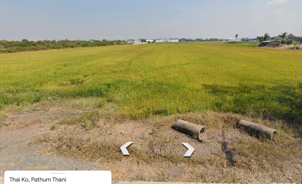 For SaleLandPathum Thani,Rangsit, Thammasat : Land for sale next to Pathum Thani road, 11 rai, Tai Ko Subdistrict, Sam Khok District, Pathum Thani Province.