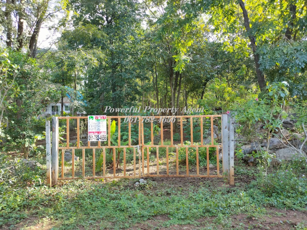 For SaleLandPak Chong KhaoYai : Land for sale in Khao Yai, surrounded by mountain views, near tourist attractions, Bang Pa-in - Korat Motorway